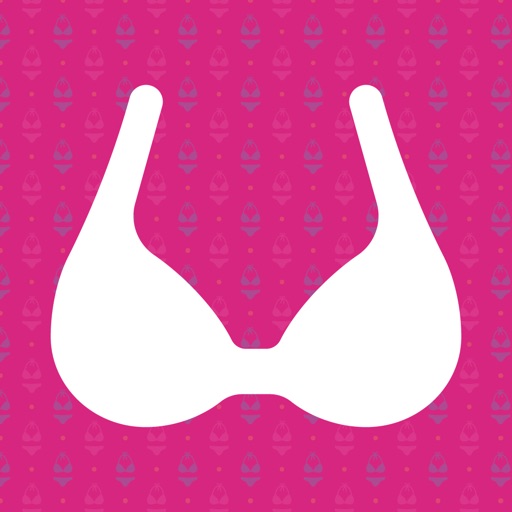 Sexy Lingerie Stickers iOS App