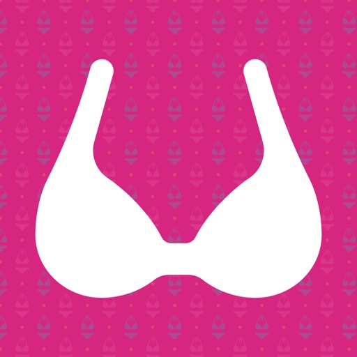 Sexy Lingerie Stickers