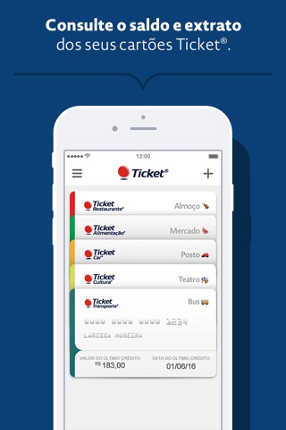 Ticket screenshot 2