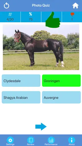 Game screenshot Horse Breeds Quizzes apk