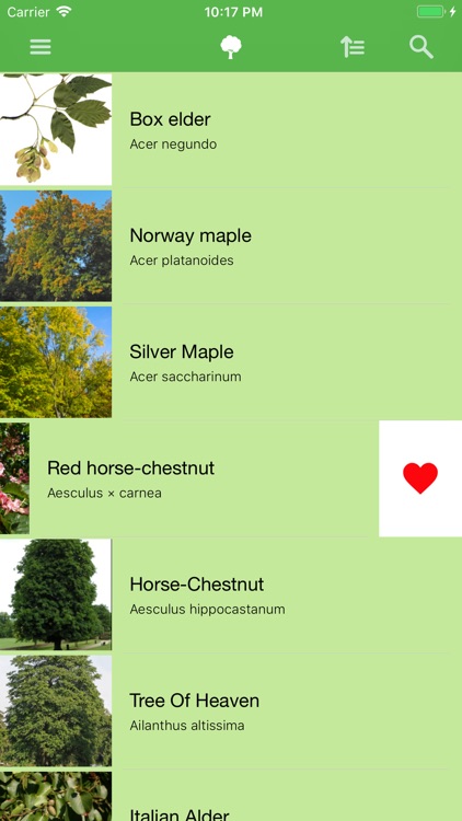 Deciduous trees screenshot-4