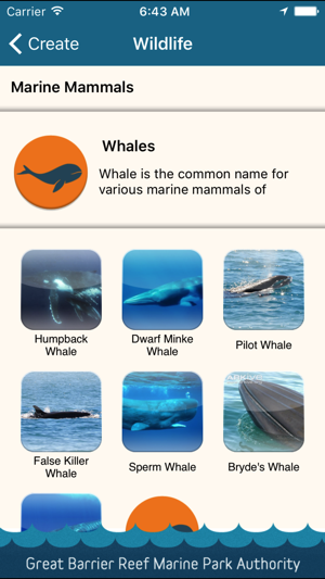 Eye on the Reef(圖4)-速報App