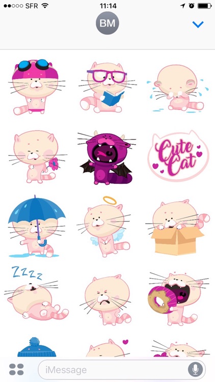 Cute Cat Chat Stickers