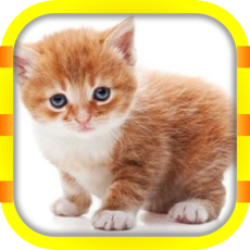 Activities of PixSlide2 - Puzzle