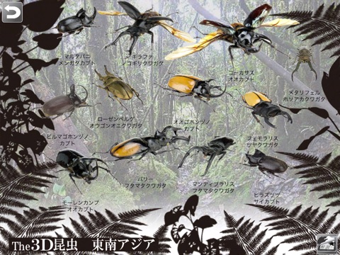 The 3D昆虫 I HD screenshot 3