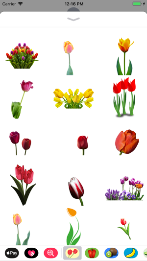 Terrific Tulip Stickers(圖2)-速報App