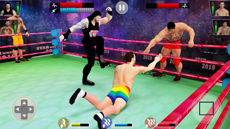 Real Wrestling Revolution 3d