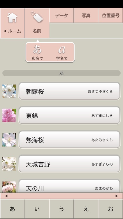 さくら図鑑