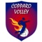 L'Applicazione  gratuita Copparo Volley ti tiene in contatto con tutti gli eventi della società , nata nel 2014 partecipa ai campionati fipav con il settore giovanile , e ai campionati UISP con la squadra amatori, potrai seguire in tempo reale le tue squadre Copparo Volley ,leggere le novità ,le notizie e quant'altro