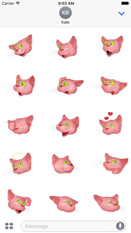 Pink Cat emoji screenshot-4