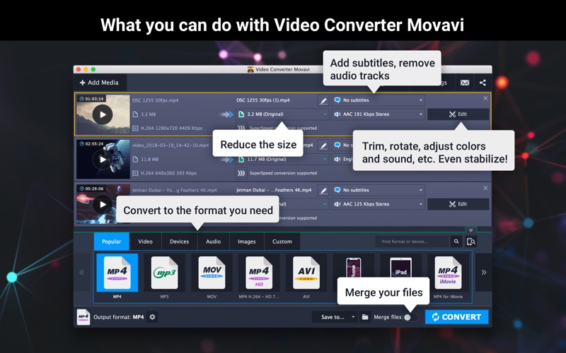 movavi video converter 6.1