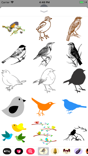 Bitty Bird Stickers(圖2)-速報App