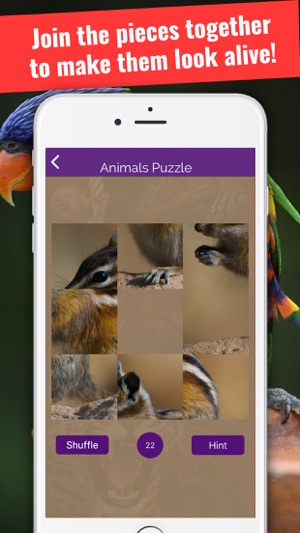 Animals & Birds Encyclopedia(圖4)-速報App