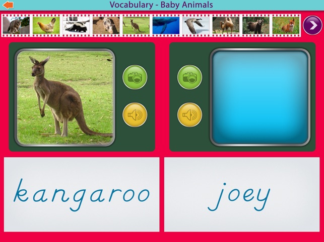 Baby Animals Montessori Vocab.(圖3)-速報App