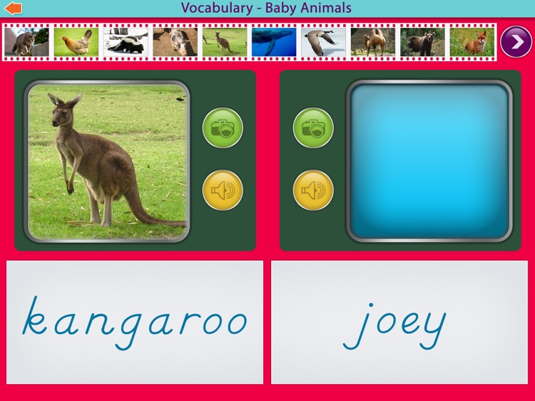 Baby Animals Montessori Vocab.