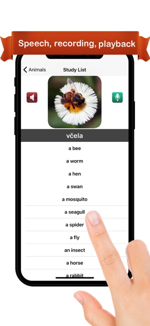 Learn Czech™(圖2)-速報App