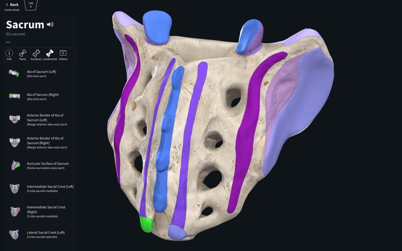 Complete_Anatomy_2019.app caprure 10 10_Complete_Anatomy_2019.jpg