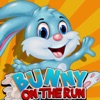 Bunny On The Run