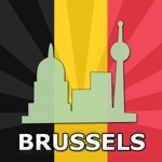 Guía de Bruselas