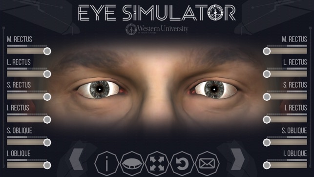 EyeSim