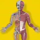 Inside The Human Body PREMIUM