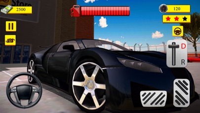 Multi Level Car Parking screenshot 3