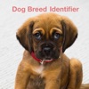 Dog Breed Identify