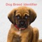 Dog Breed Identify - Identify your dog breeds by selecting photo from your gallery or just click the photo of your puppy from your phone camera and Identify the breed of your dog