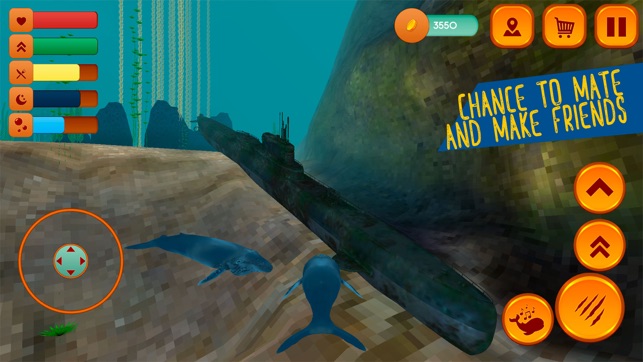 Hump Back Whale Ocean Sim(圖4)-速報App