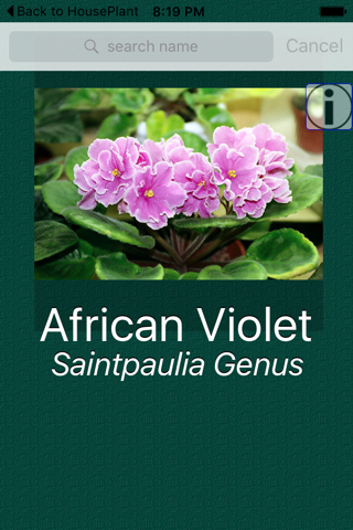 House Plant Dictionary - náhled