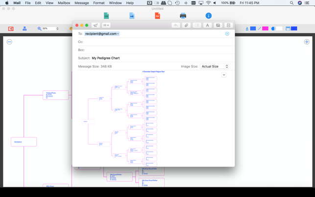 pedigree chart maker