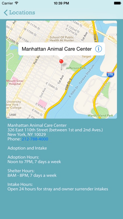 ACC of NYC screenshot-4