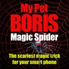 Top 49 Entertainment Apps Like Magic Spider - My Pet Boris - Best Alternatives