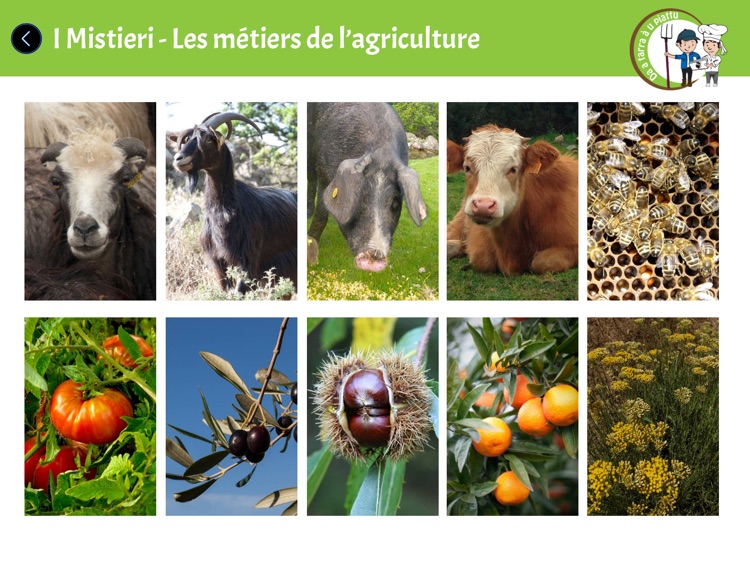 DA A TARRA À U PIATTU