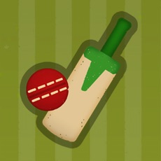 Activities of Village Cricket