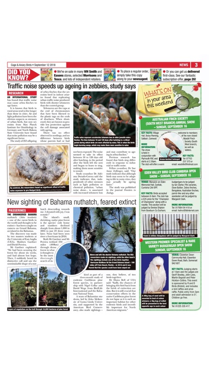 Cage & Aviary Birds