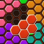 Wood Block Puzzle HEXA