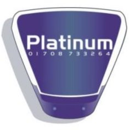 PLATINUM SECURITY Icon