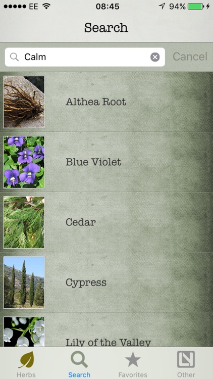 Herbs in Magick