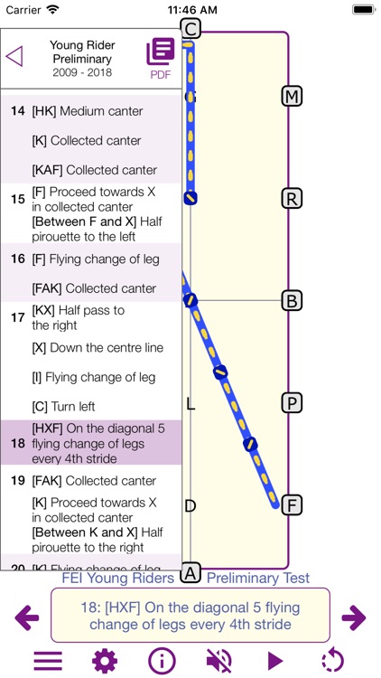 TestPro: FEI Dressage Sampler screenshot-0
