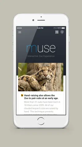 Game screenshot Muse Experience mod apk