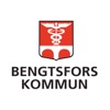 Bengtsfors kommun synpunkt&fel