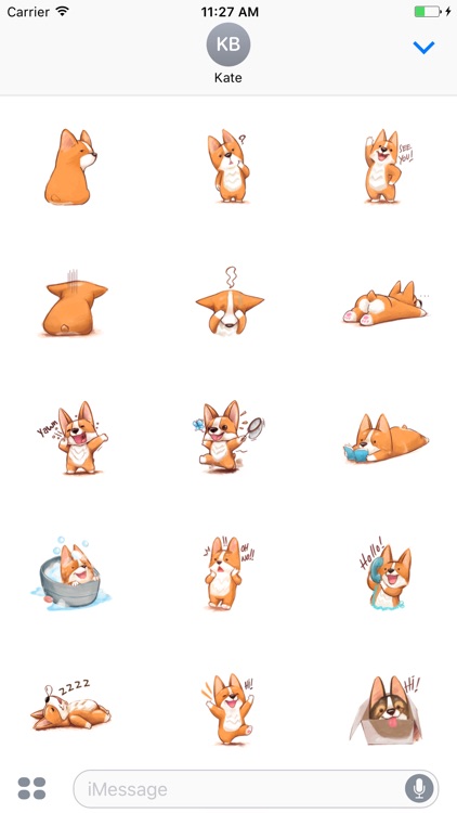 Cute Corgi Animated Sticker