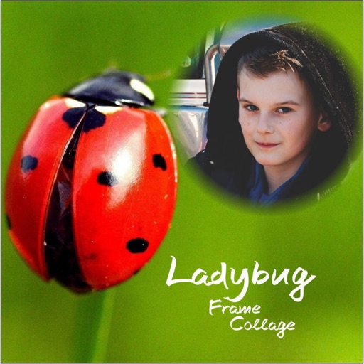 Ladybug Photo Frames Collage Wallpaper Selfie Pics iOS App