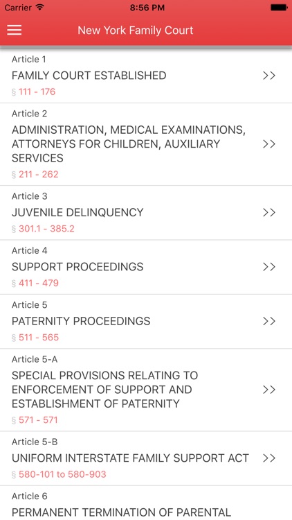 NY Family Court 2017