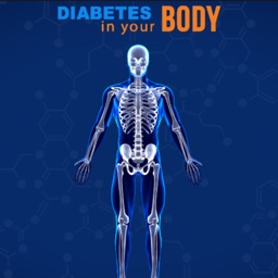 Diabetes In Your Body