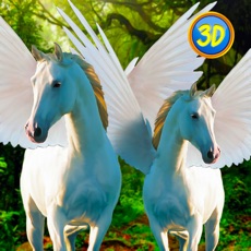 Activities of Pegasus Family Simulator