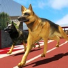 Crazy dog racing – Play greyhound race simulator