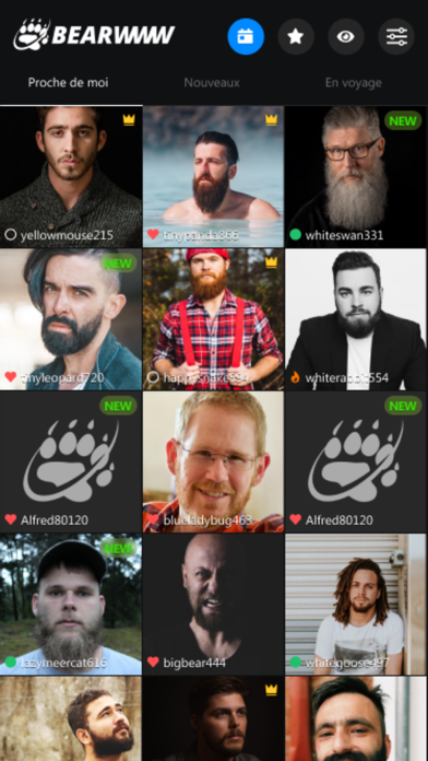 bearwww Gay Bear bearwww Gay Bear