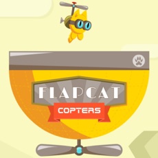 Activities of Flapping Cat Game